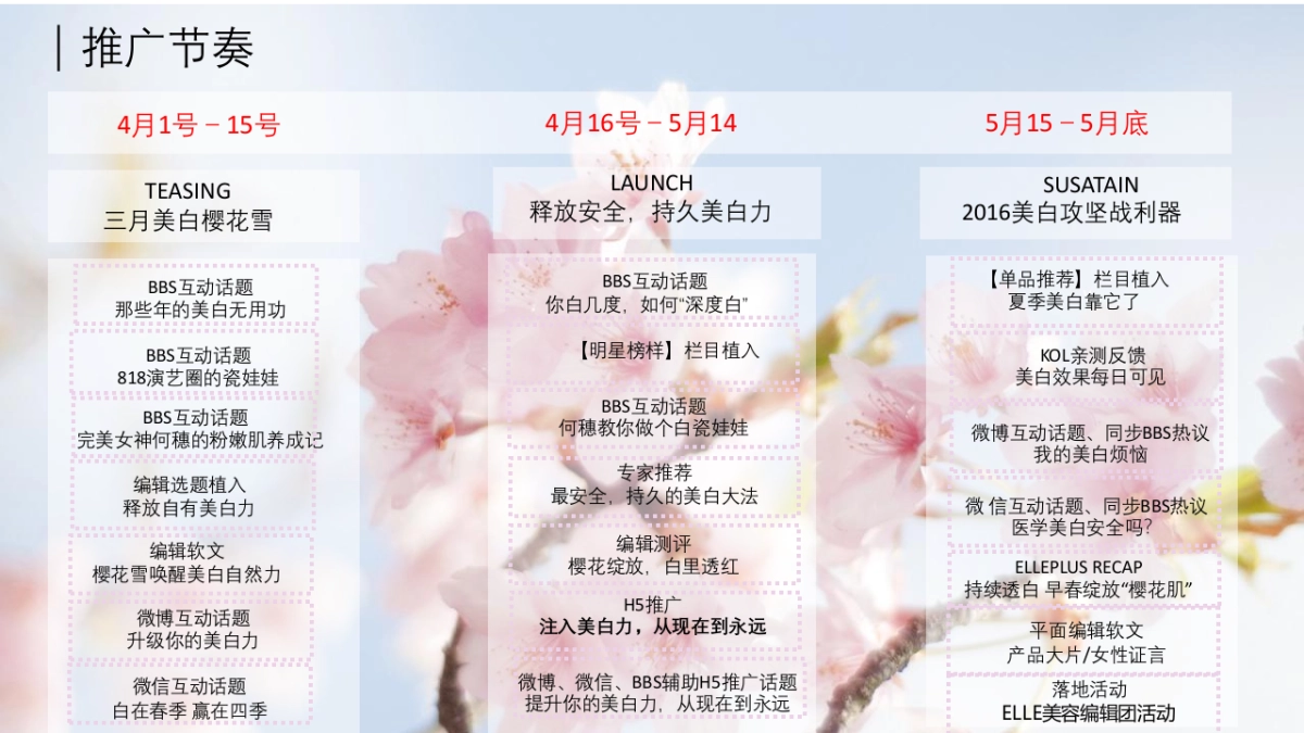 资生堂美白系列digital proposal_第5页