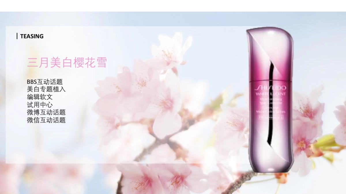 资生堂美白系列digital proposal_第6页