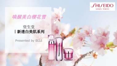 资生堂美白系列digital proposal