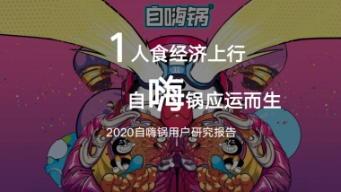 自嗨锅用户研究报告