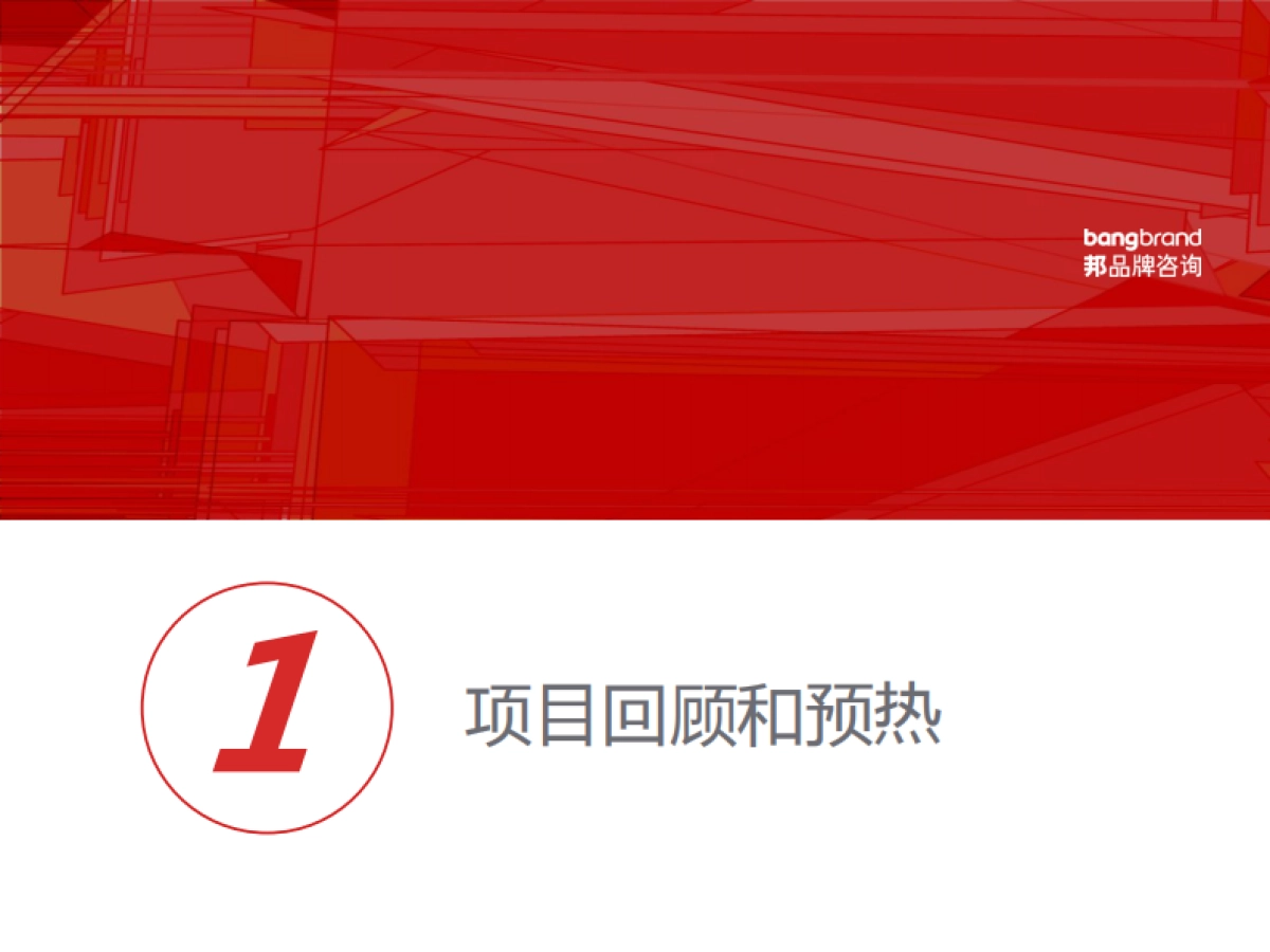 自由之旅，梦想启程-正邦-飞猪品牌建设报告_第4页