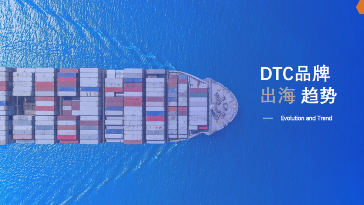 有效创新:2022DTC品牌出海发展报告_第5页