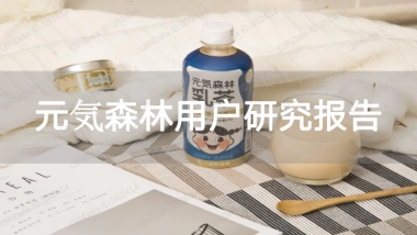 元气森林用户研究报告-伟大航路战略咨询-40页