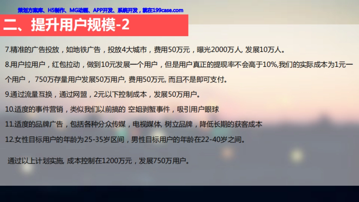 约单2016年运营规划_第5页