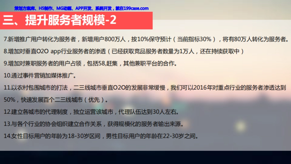 约单2016年运营规划_第8页