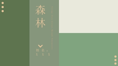 （03）莫兰迪PPT