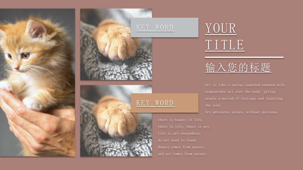 （06）莫兰迪PPT_第3页