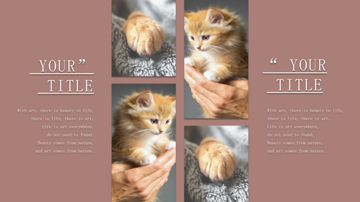 （06）莫兰迪PPT_第5页