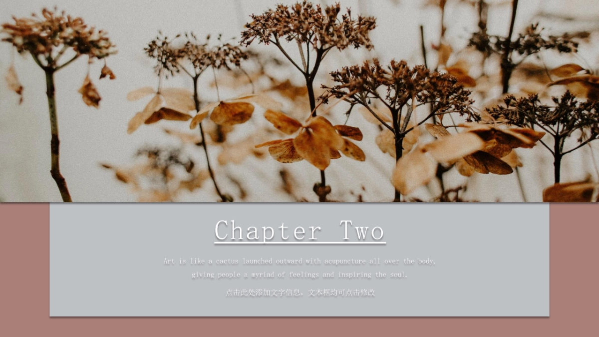 （06）莫兰迪PPT_第6页