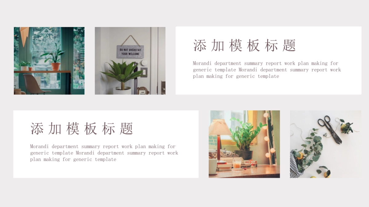 （10）莫兰迪PPT_第10页