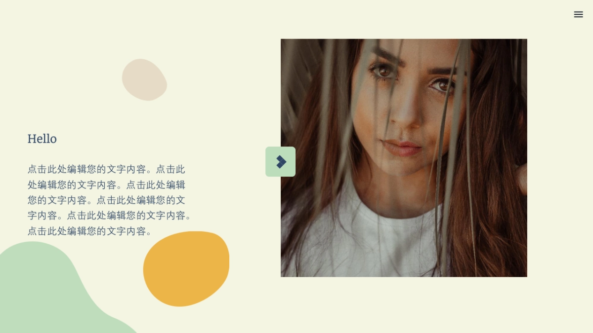 （11）莫兰迪PPT_第2页