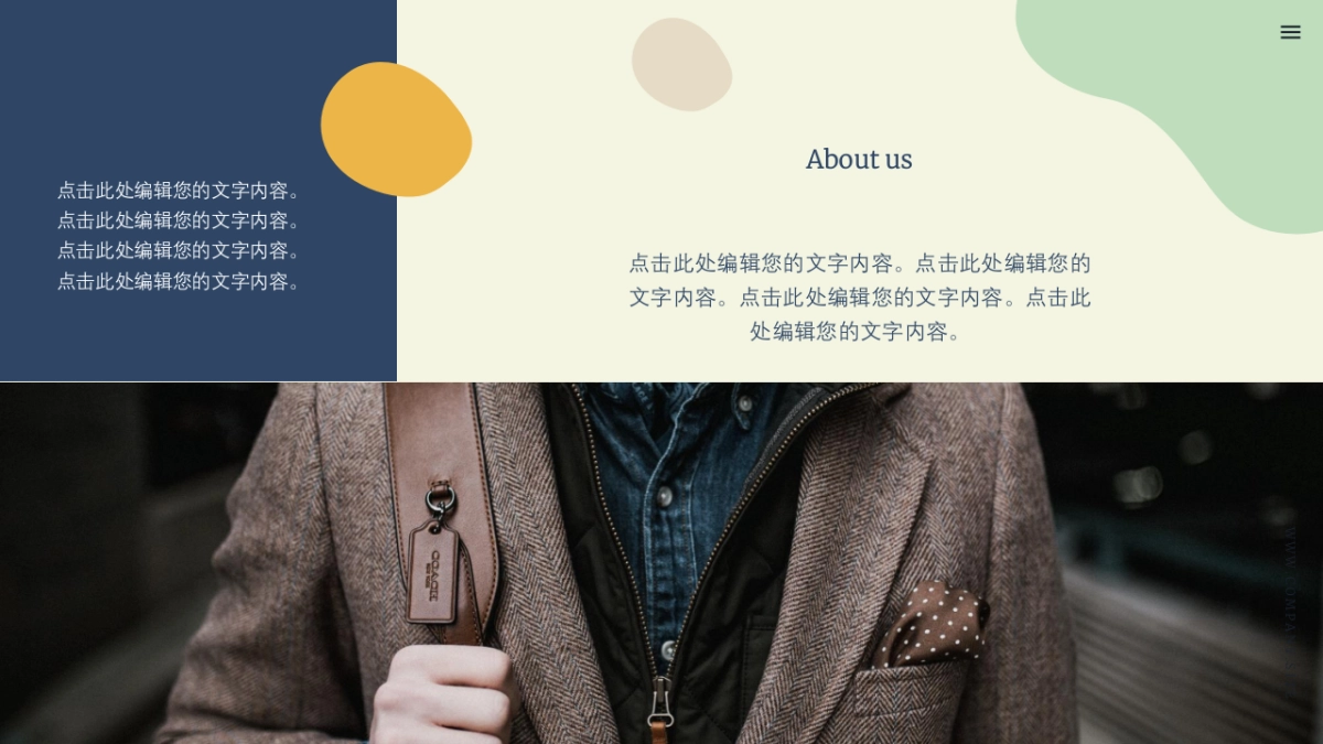 （11）莫兰迪PPT_第4页