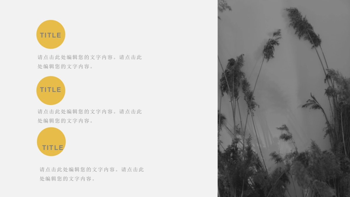 （15）莫兰迪PPT_第10页