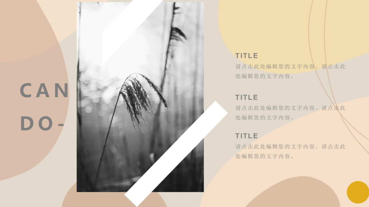 （15）莫兰迪PPT_第6页