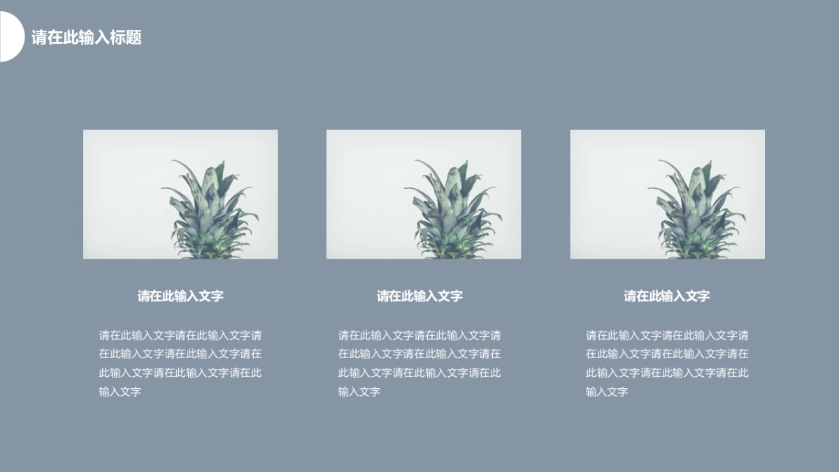 （16）莫兰迪PPT_第9页