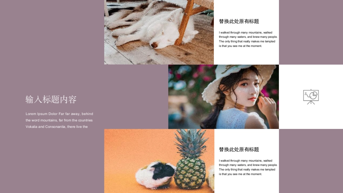 （20）莫兰迪PPT_第5页