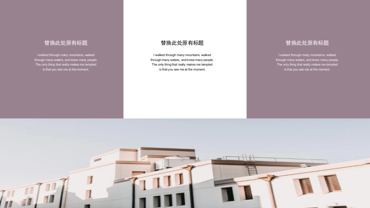 （20）莫兰迪PPT_第6页