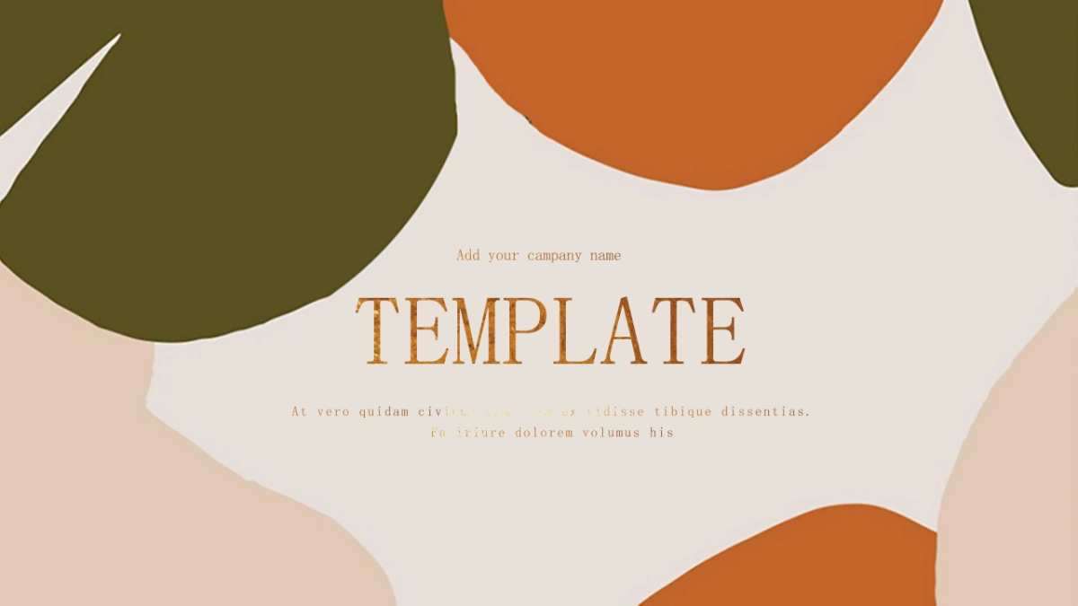 （21）莫兰迪PPT_第1页