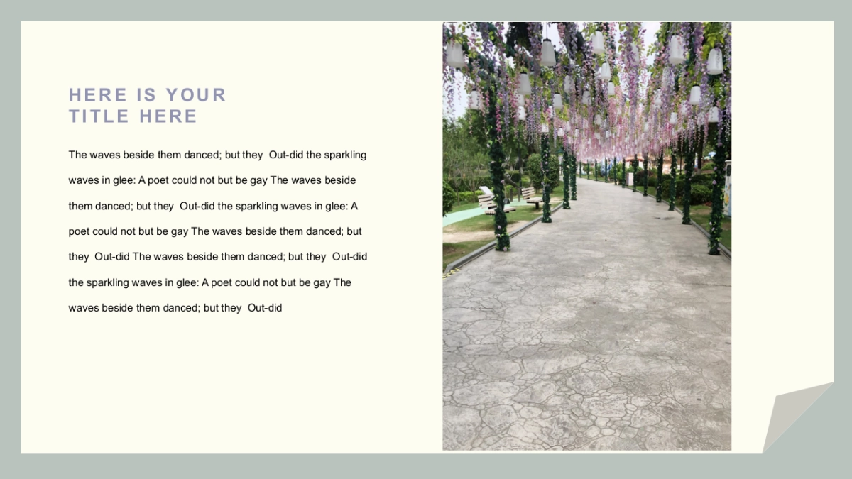 （25）莫兰迪PPT_第4页