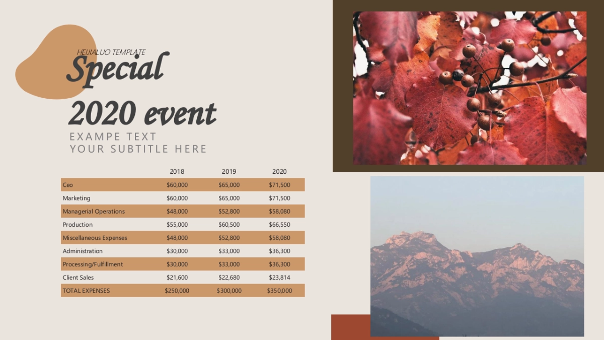 （30）莫兰迪PPT_第8页