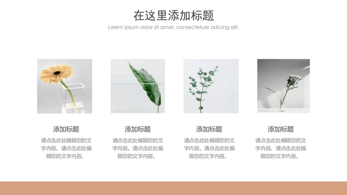 （33）莫兰迪PPT_第4页