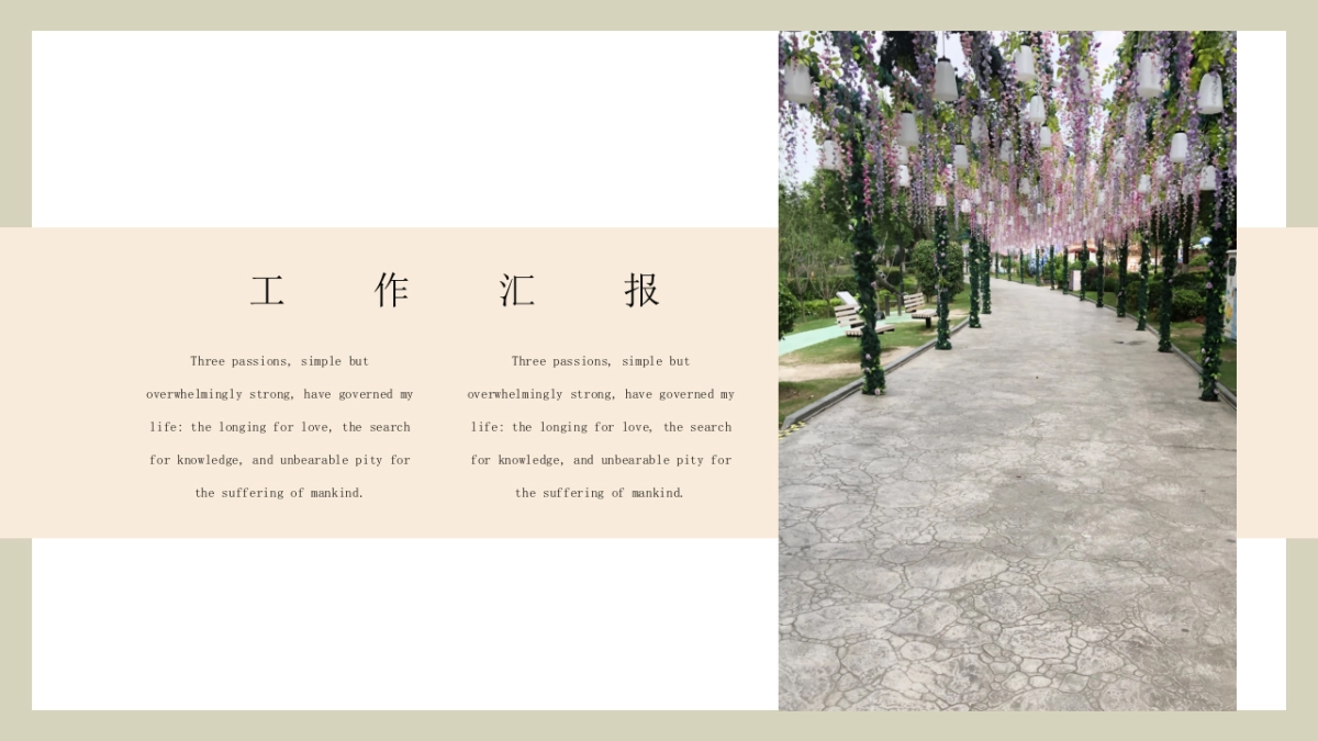 （34）莫兰迪PPT_第6页