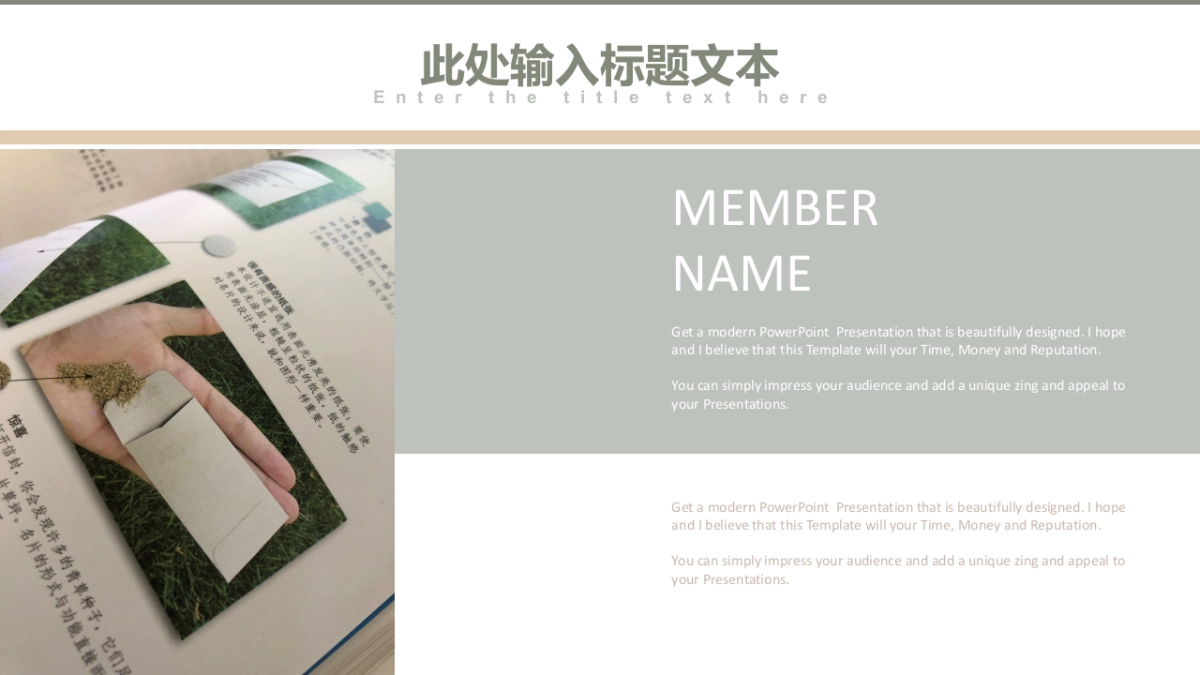 （35）莫兰迪PPT_第5页