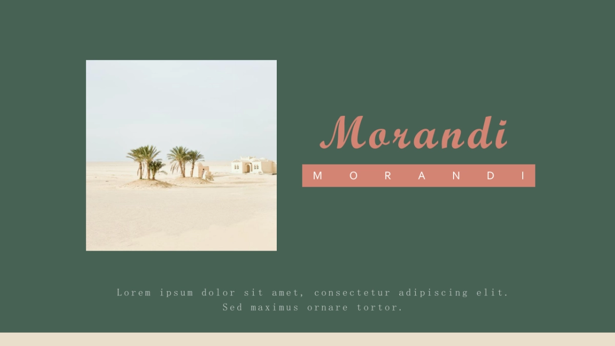 （40）莫兰迪PPT_第1页