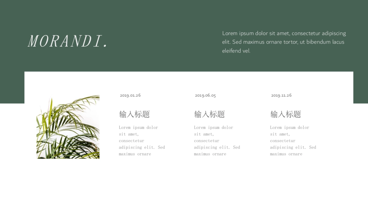 （40）莫兰迪PPT_第10页