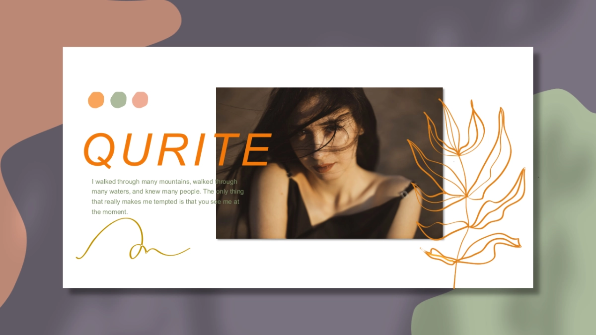 (44)莫兰迪PPT_第1页