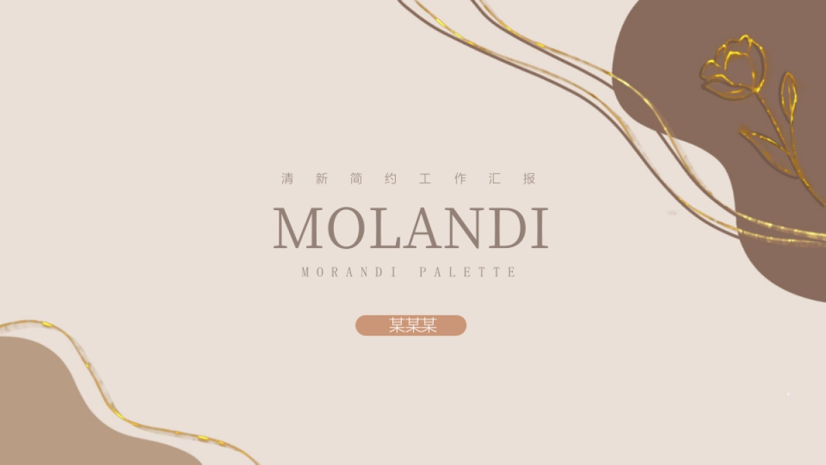 (45)莫兰迪PPT_第1页