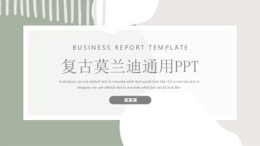 （46）莫兰迪PPT