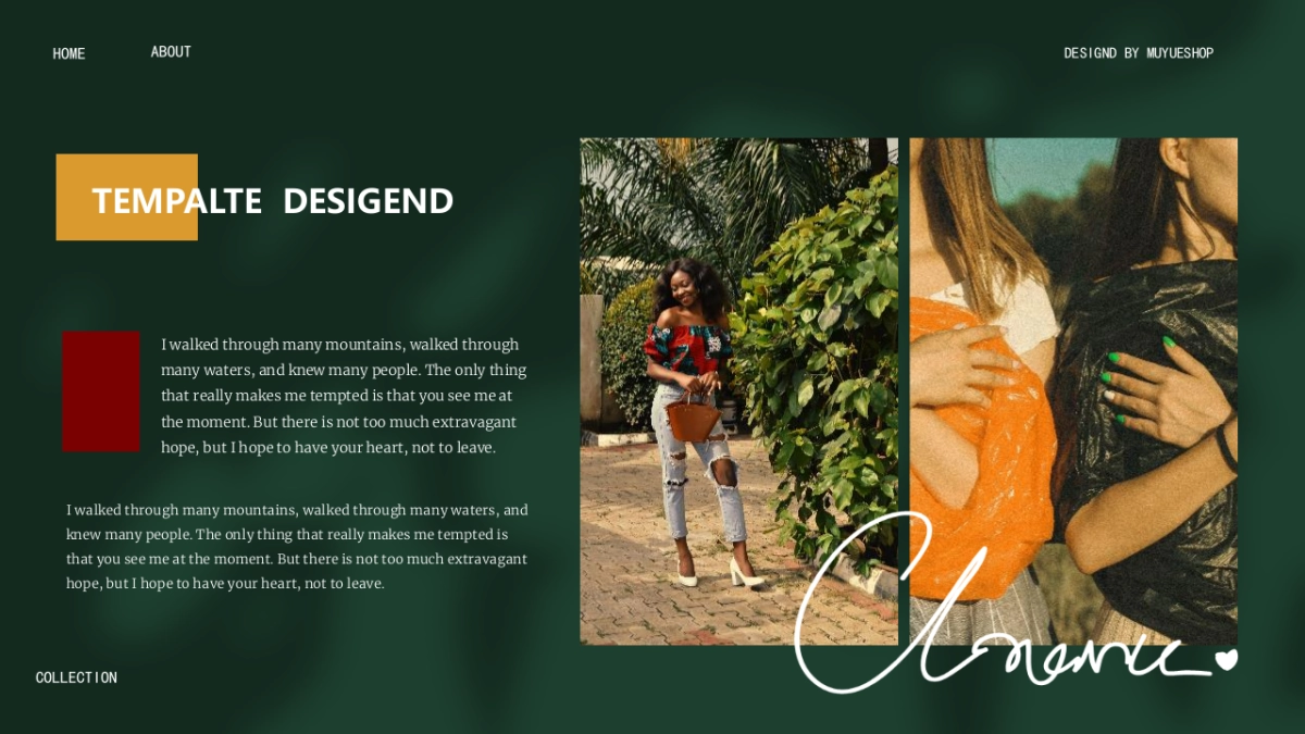 (47)莫兰迪PPT_第2页