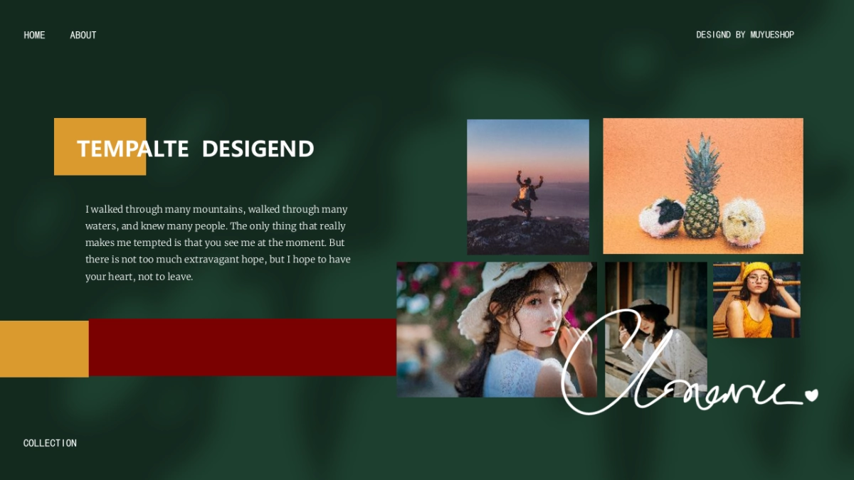 (47)莫兰迪PPT_第3页