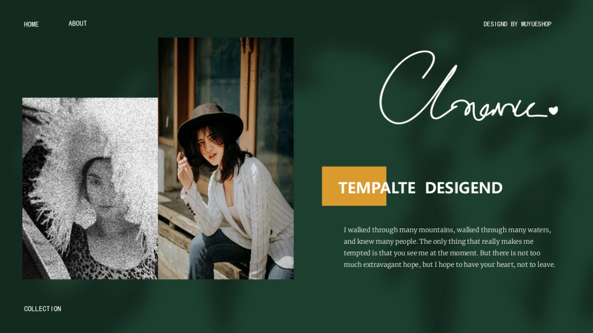 (47)莫兰迪PPT_第4页