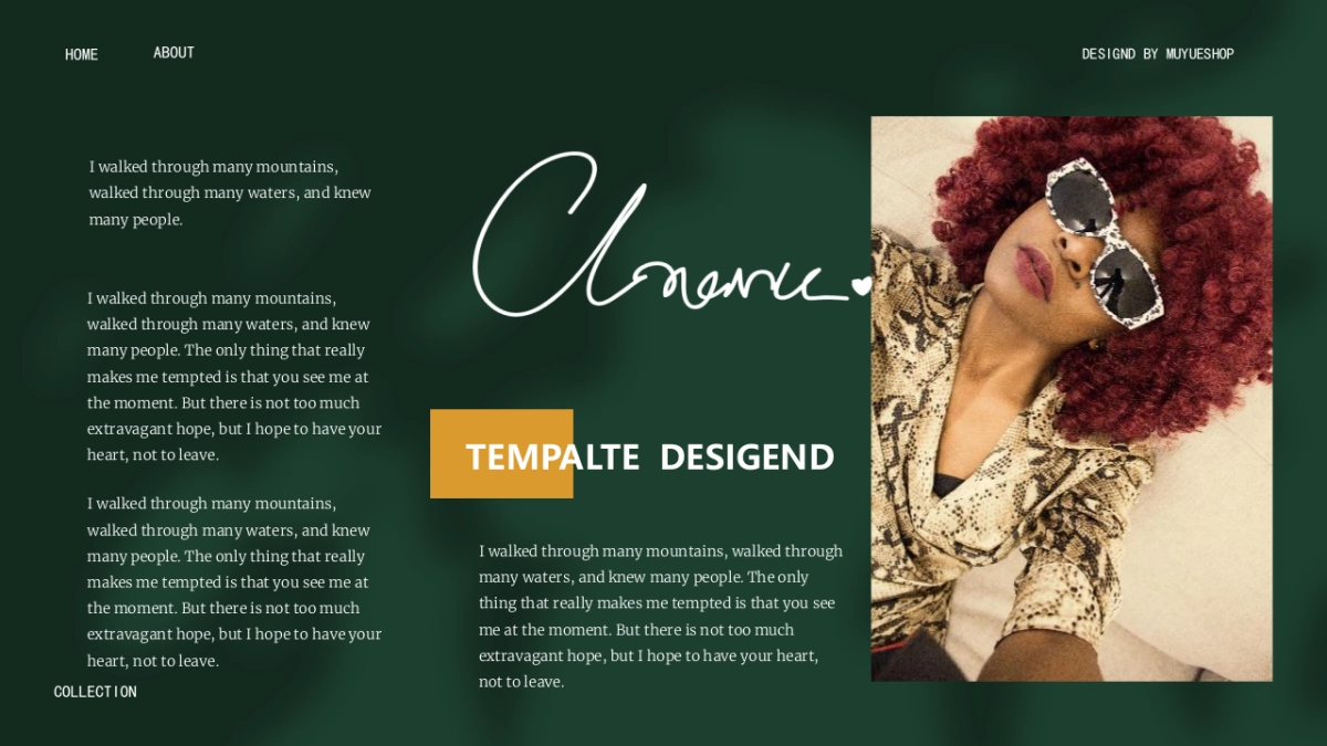 (47)莫兰迪PPT_第6页