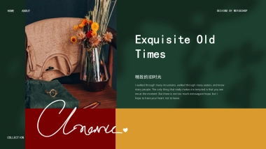 （47）莫兰迪PPT