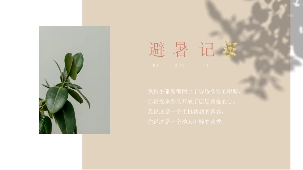 (55)莫兰迪PPT_第5页