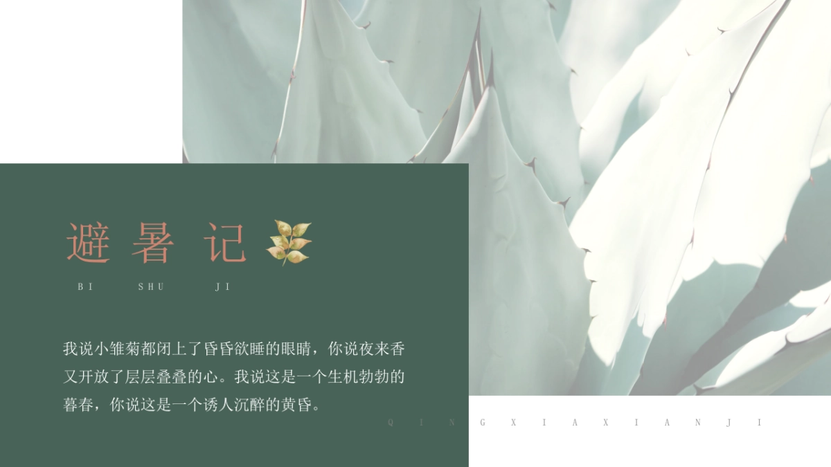 (55)莫兰迪PPT_第7页