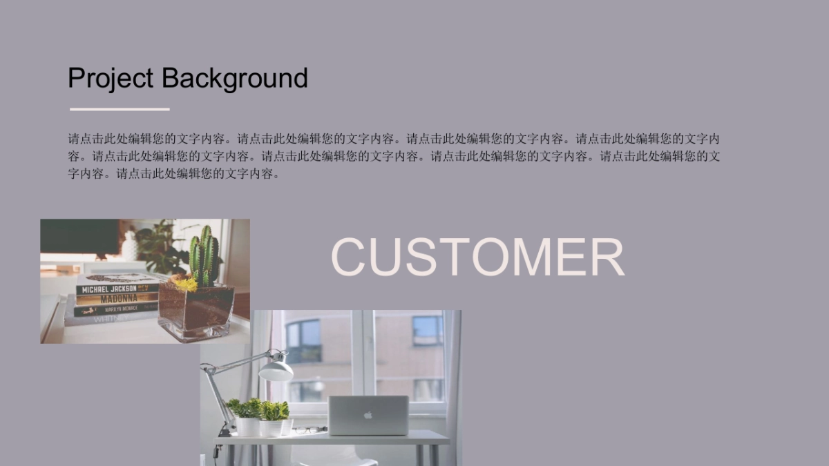 (61)莫兰迪PPT_第4页