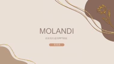 （63）莫兰迪PPT