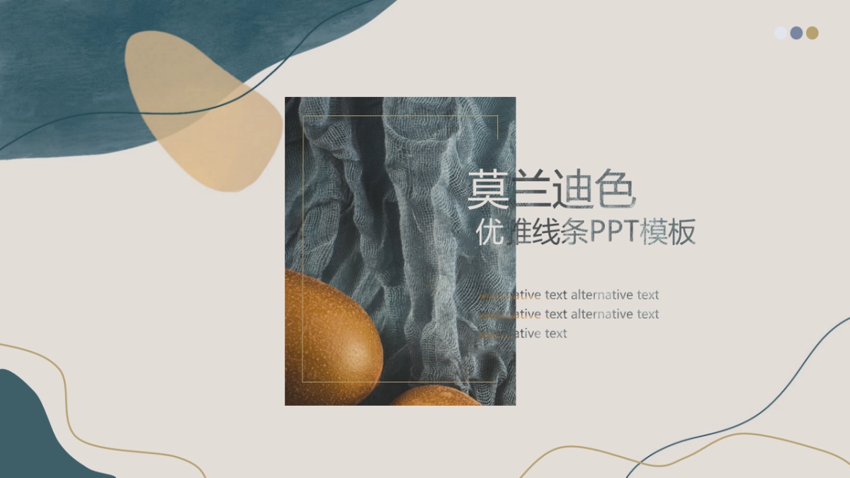 (66)莫兰迪PPT_第1页