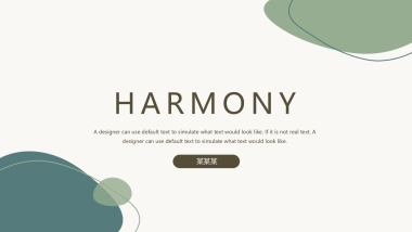 （74）莫兰迪PPT