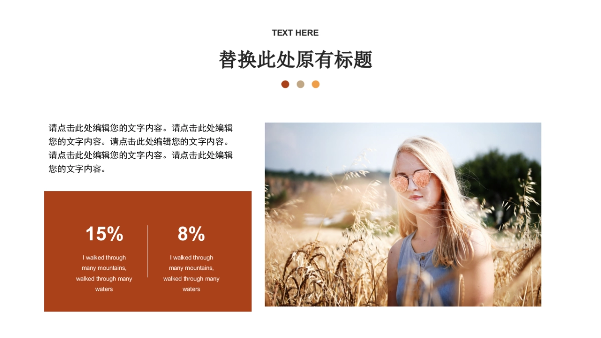 （78）莫兰迪PPT_第4页