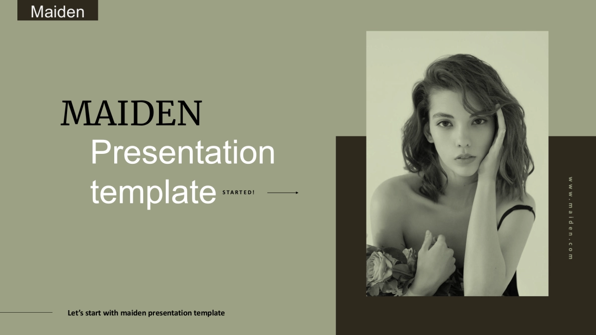 (81)莫兰迪PPT_第1页