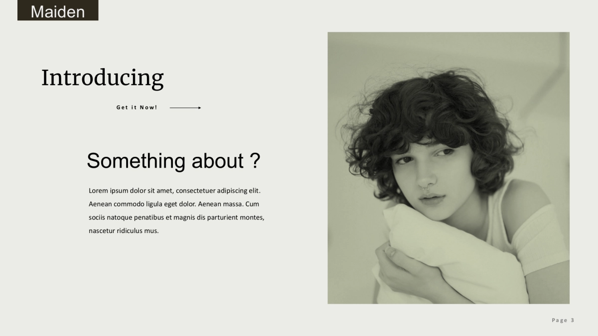 (81)莫兰迪PPT_第3页