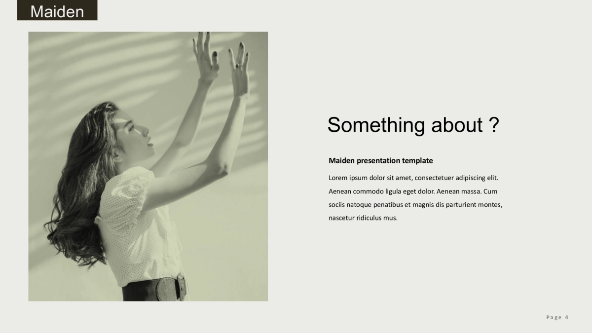 (81)莫兰迪PPT_第4页