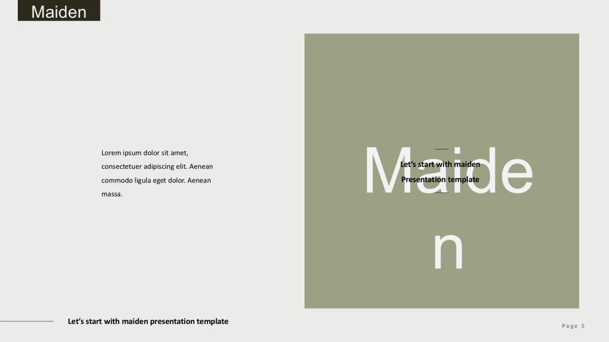 (81)莫兰迪PPT_第5页