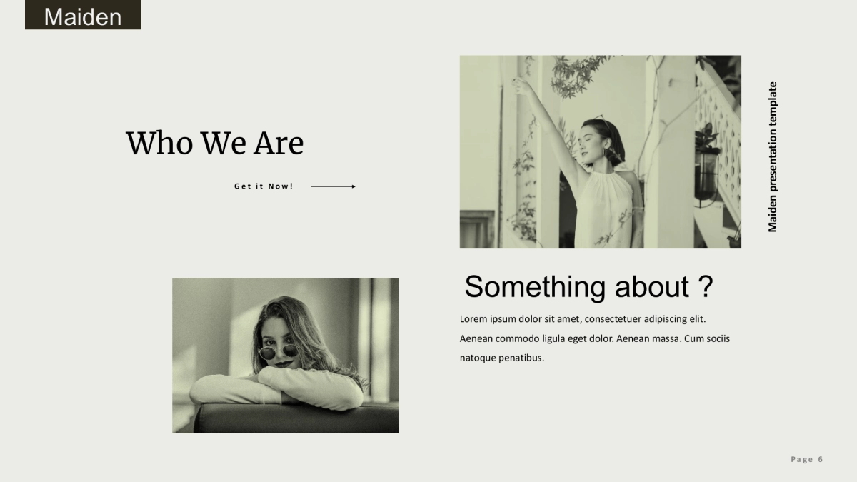 (81)莫兰迪PPT_第6页