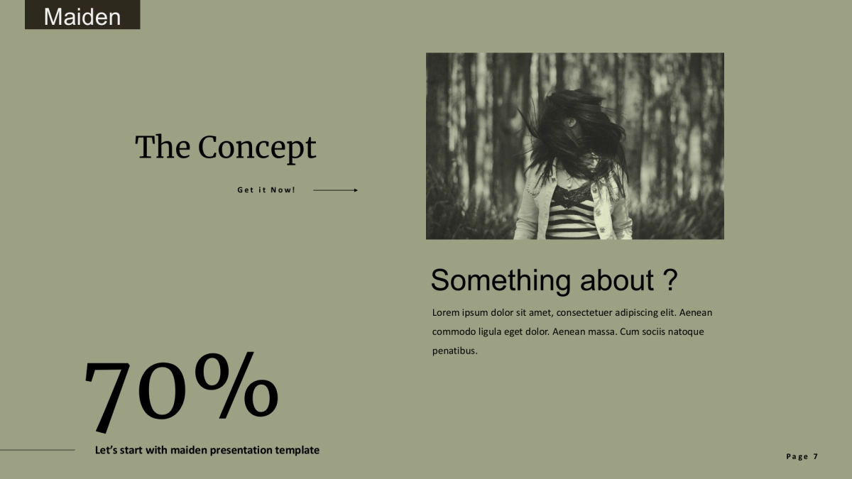 (81)莫兰迪PPT_第7页